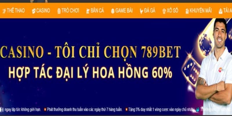Điều kiện khi muốn hợp tác đại lý 789BET