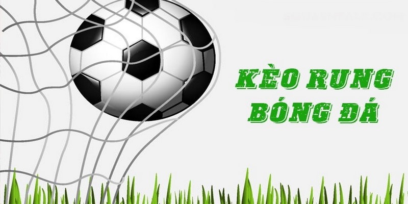 Một số lưu ý quan trọng khi đặt kèo rung bet thủ nên nhớ