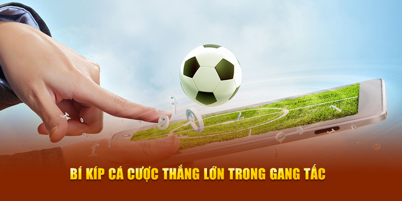 Bí kíp cá cược thắng lớn trong gang tấc