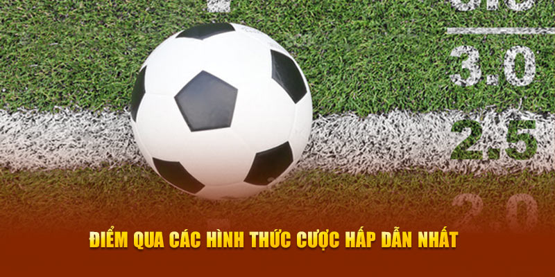Điểm qua các hình thức cược hấp dẫn nhất