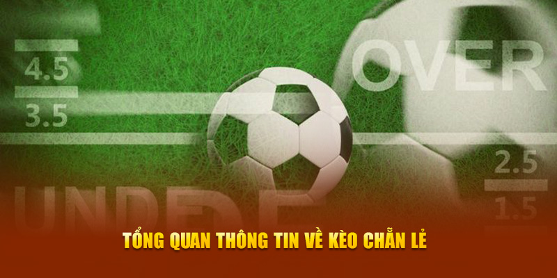 Tổng quan thông tin về kèo chẵn lẻ